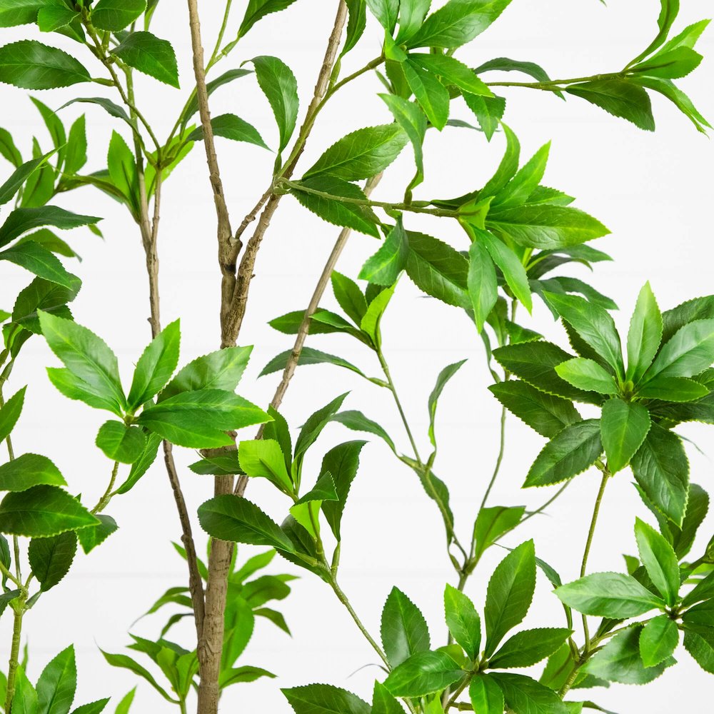 6ft. Artificial Minimalist Japanese Pieris Tree