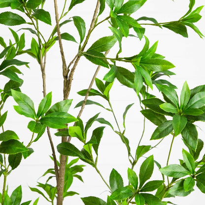 6ft. Artificial Minimalist Japanese Pieris Tree