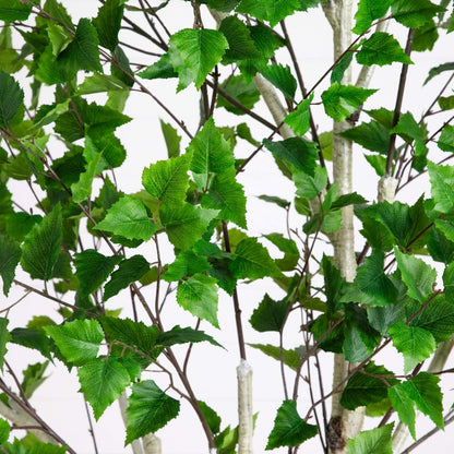 8ft. Artificial Birch Tree with Real Touch Leaves