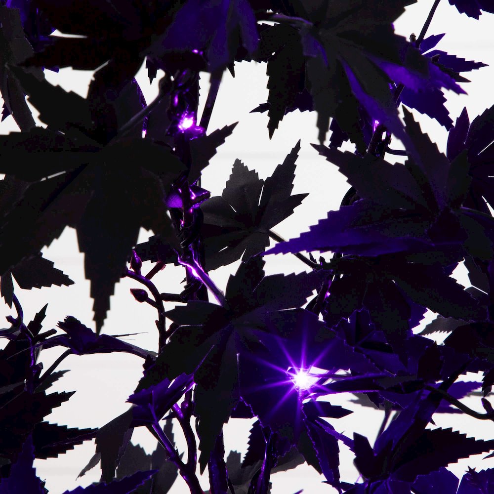 4ft. Pre-Lit Artificial Halloween Black Maple Tree with 180 LED Lights