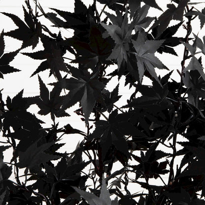 4ft. Pre-Lit Artificial Halloween Black Maple Tree with 180 LED Lights