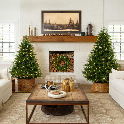 7ft. Pre-Lit Artificial Luxembourg Pine Christmas Tree with 340 LED Lights