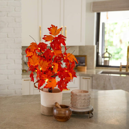 2ft. Pre-Lit Bright Autumn Maple Artificial Fall Tree with 24 LED Lights