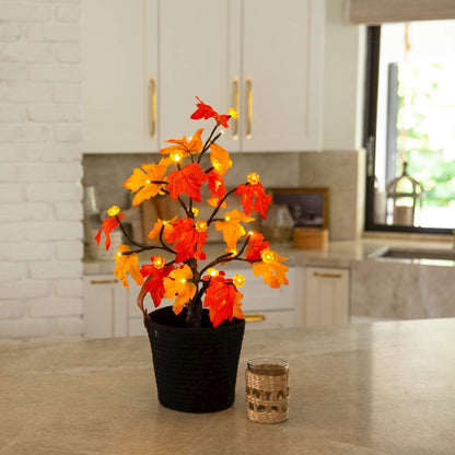 2ft Pre-Lit Autumn Maple Artificial Fall Tree with 24 LED &Pumpkin Shaped Lights