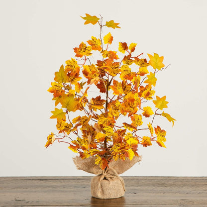18in. Pre-Lit Autumn Maple Artificial Fall Tree with 30 LED String Lights