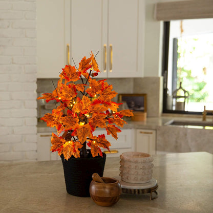 2ft. Pre-Lit Autumn Maple Artificial Fall Tree with Acorns & Pinecones