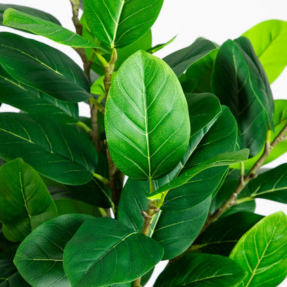 5ft. Artificial Petite Audrey Ficus Tree