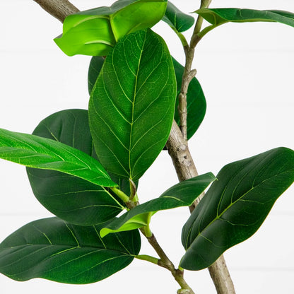7ft. Artificial Curved Trunk Audrey Ficus Tree