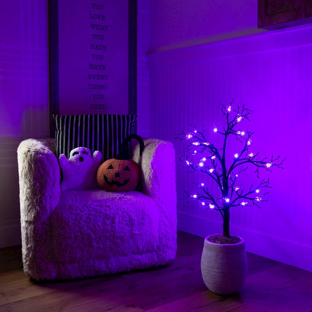 3ft. Pre-Lit Artificial Halloween Spider Twig Tree with 36 Purple LED Lights