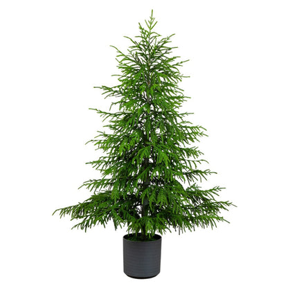 6ft. Artificial Real Touch Norfolk Island Pine Christmas Tree with Natural Look