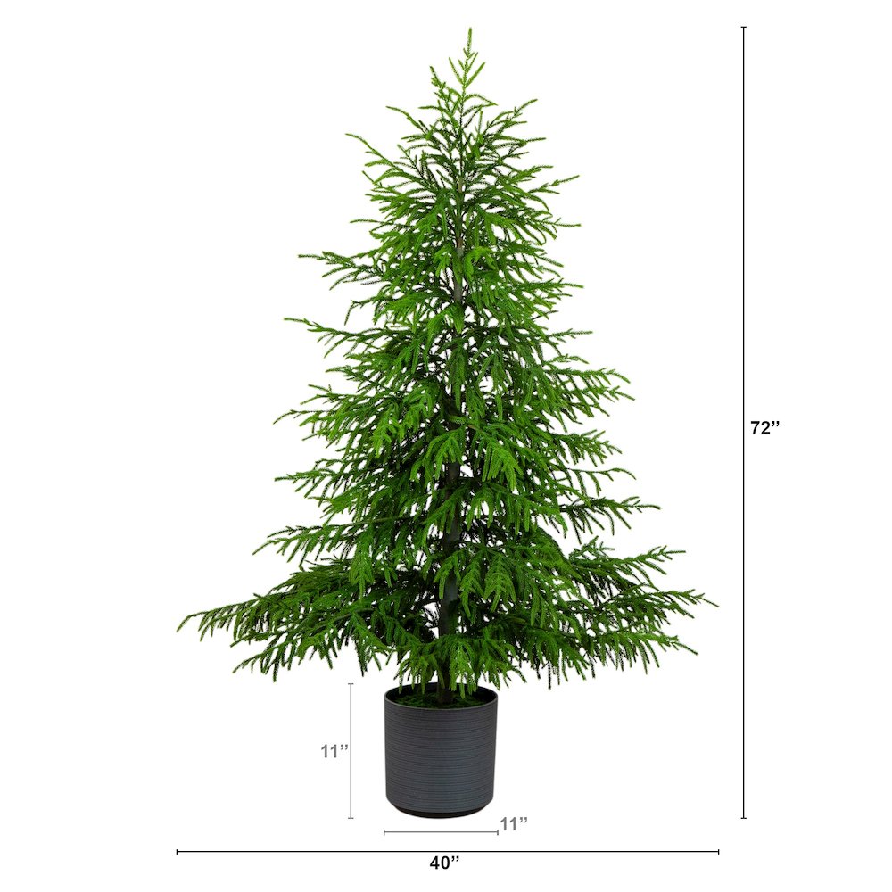 6ft. Artificial Real Touch Norfolk Island Pine Christmas Tree with Natural Look