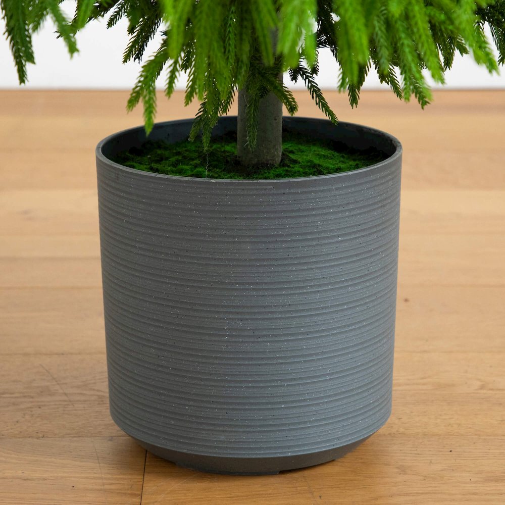 6ft. Artificial Real Touch Norfolk Island Pine Christmas Tree with Natural Look