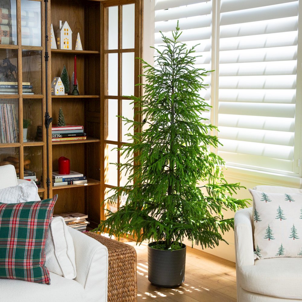 6ft. Artificial Real Touch Norfolk Island Pine Christmas Tree with Natural Look