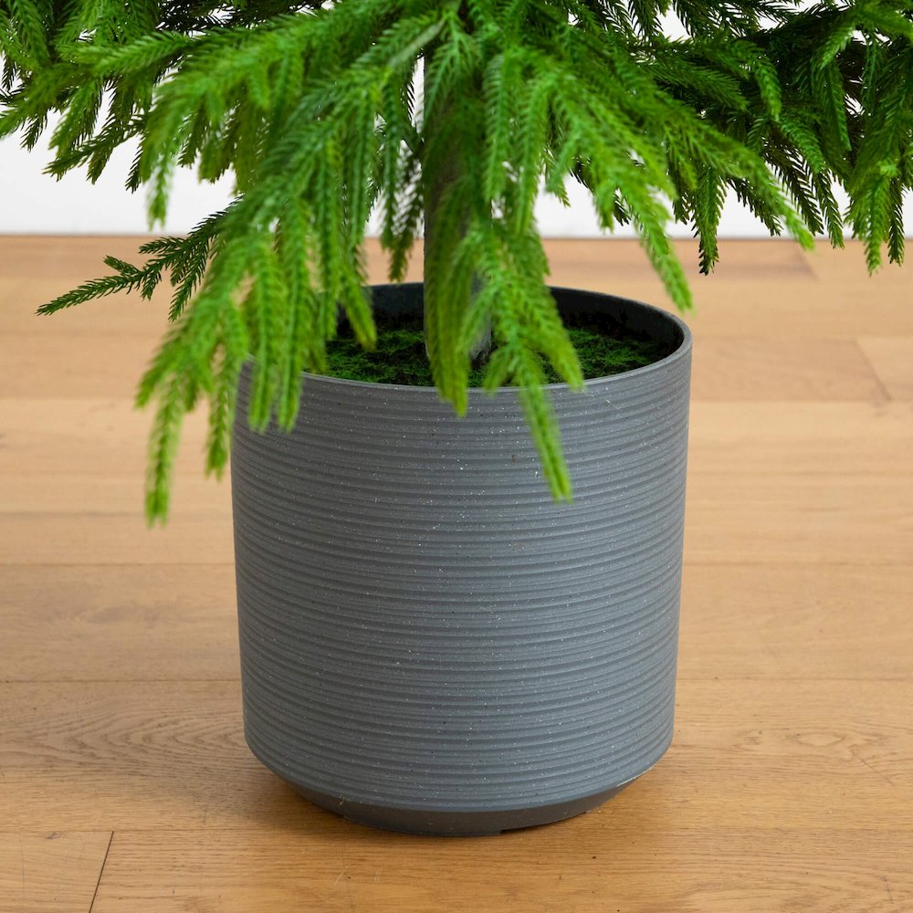 7ft. Artificial Real Touch Norfolk Island Pine Christmas Tree with Natural Look