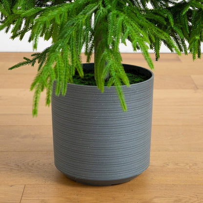 7ft. Artificial Real Touch Norfolk Island Pine Christmas Tree with Natural Look