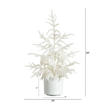 2ft. Artificial Real Touch White Norfolk Island Pine Christmas Tree