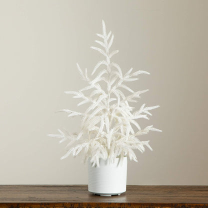 2ft. Artificial Real Touch White Norfolk Island Pine Christmas Tree