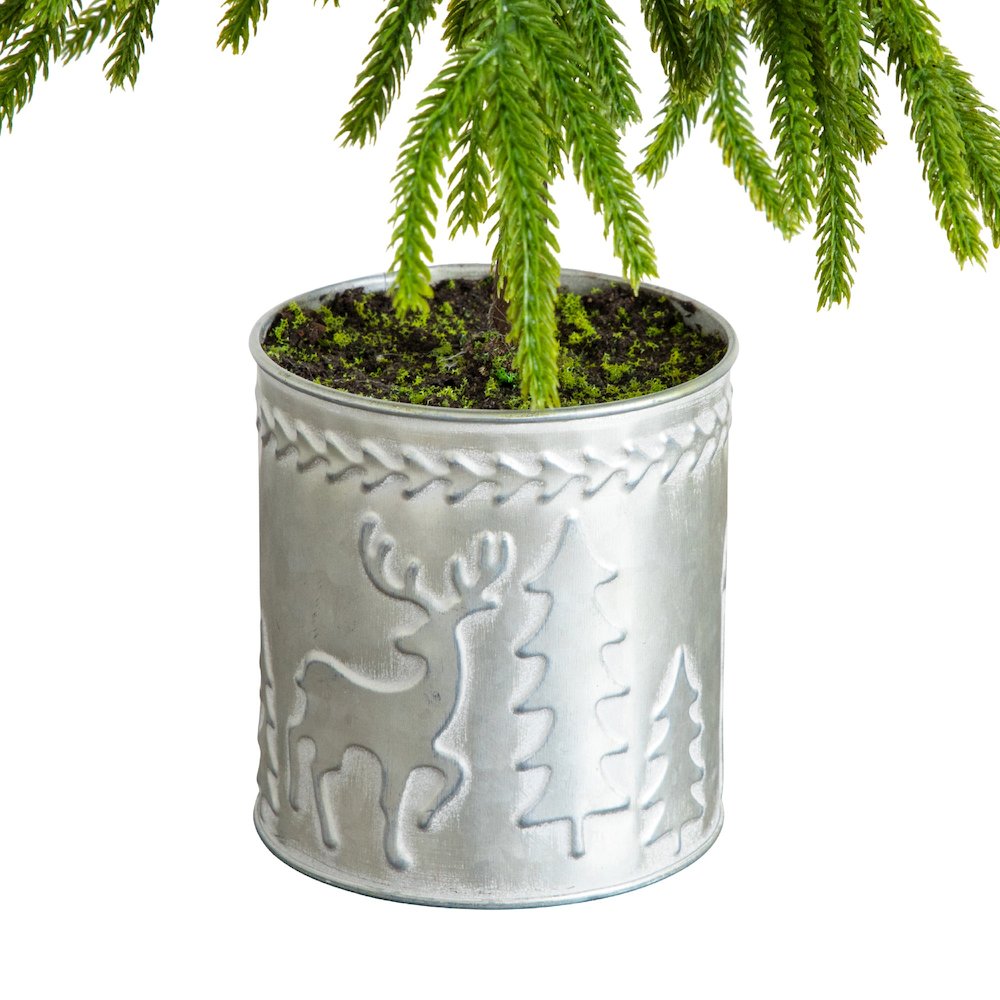 20in. Artificial Real Touch Down Swept Norfolk Island Pine
