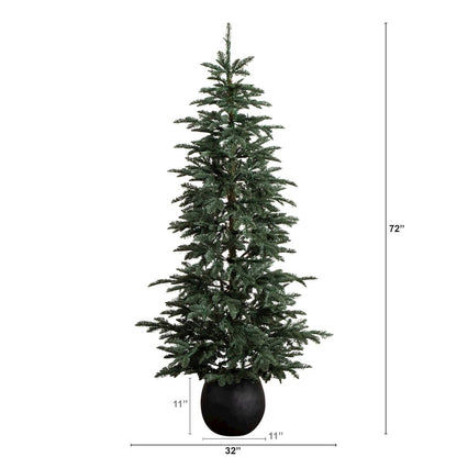 6ft. Pre-Lit Artificial Pine Christmas Tree in Round Black Decorative Planter