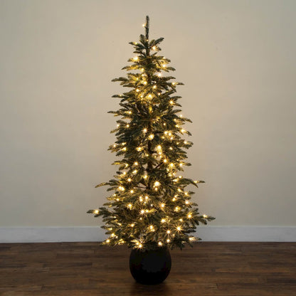 6ft. Pre-Lit Artificial Pine Christmas Tree in Round Black Decorative Planter