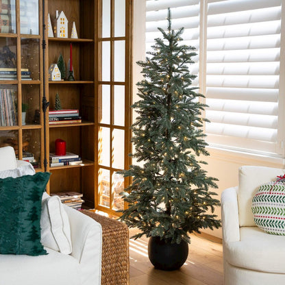 6ft. Pre-Lit Artificial Pine Christmas Tree in Round Black Decorative Planter