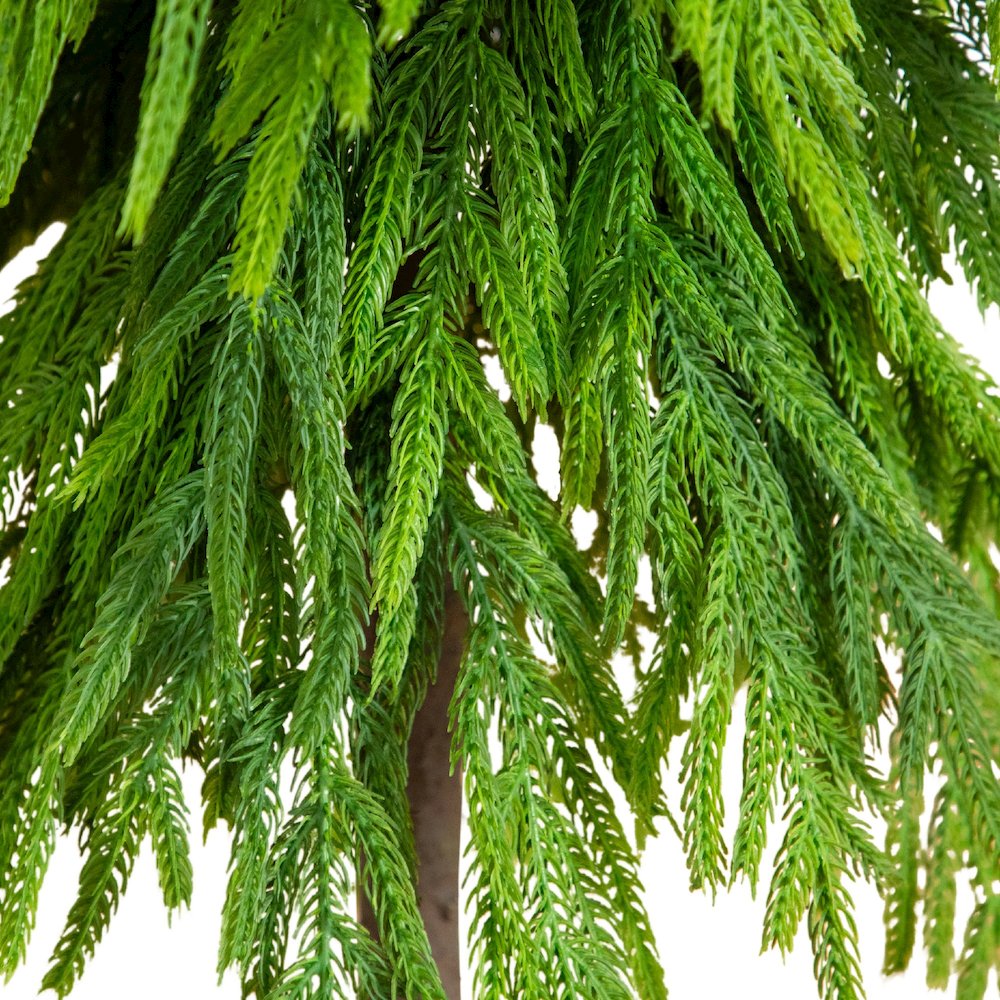 3ft. Artificial Real Touch Down Swept Norfolk Pine Tree with Natural Look
