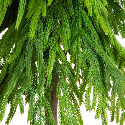 3ft. Artificial Real Touch Down Swept Norfolk Pine Tree with Natural Look