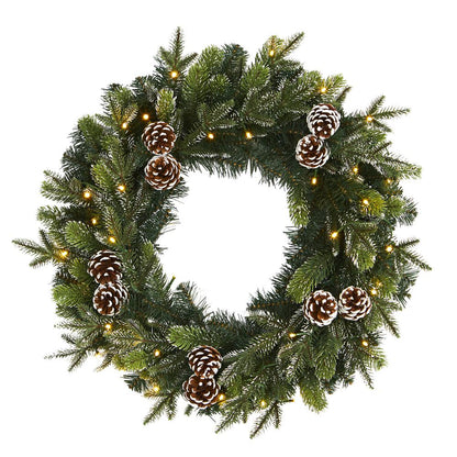 24in. Snowed Pinecone Artificial Christmas Wreath with 35 Clear LED Lights