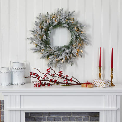 24in. Flocked Artificial Christmas Wreath with 50 LED Lights