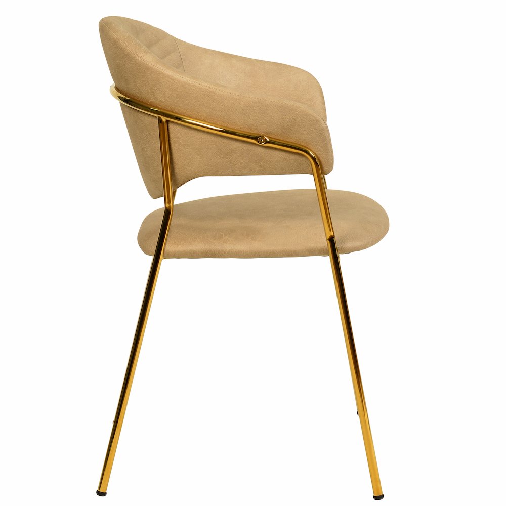 Bella Collection Modern Dining Chair in Toupe