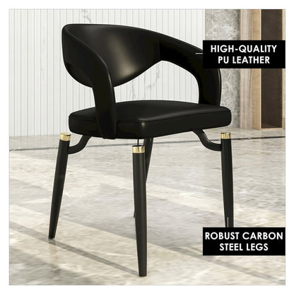 Entice Collection Modern Dining Chair Set of 2 in Charcoal Black