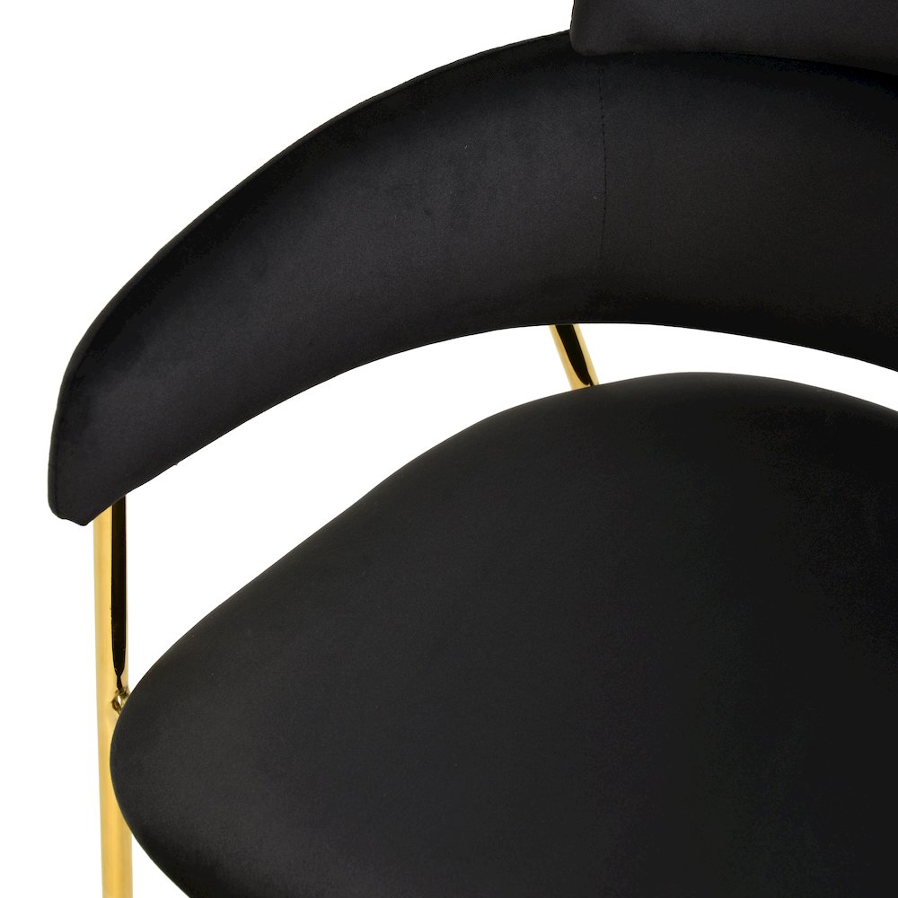 Axis Collection Modern Gold Dining Chair in Black