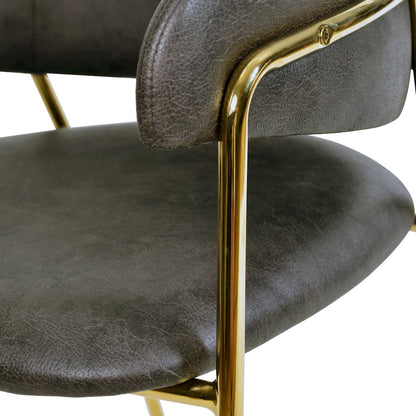 Axis Collection Modern Gold Dining Chair in Charcoal