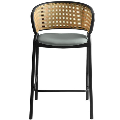 Ervilla Wicker Bar Stool Set of 2