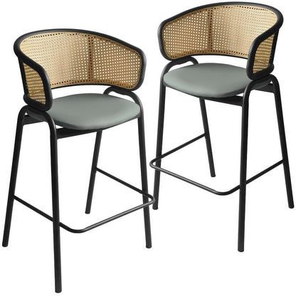 Ervilla Wicker Bar Stool Set of 2