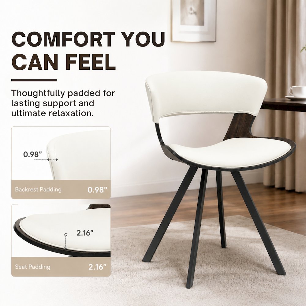 Modern Oyster Transparent Side Chair Set of 4