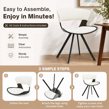 Modern Oyster Transparent Side Chair Set of 4