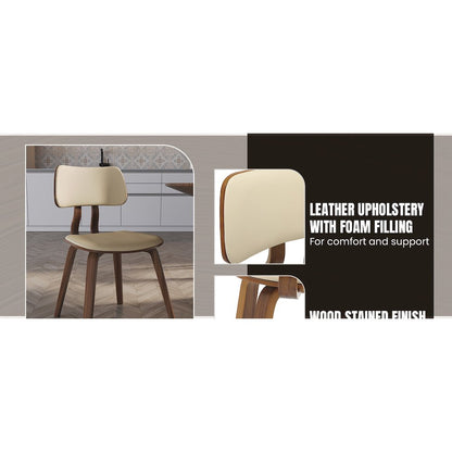 Modern Wooden Dining Chair