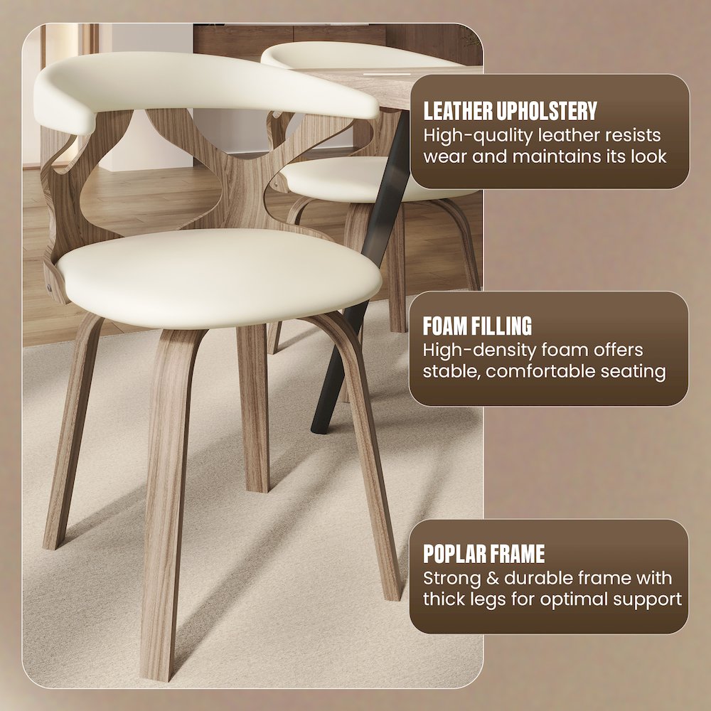 Modern Wooden Dining Chair