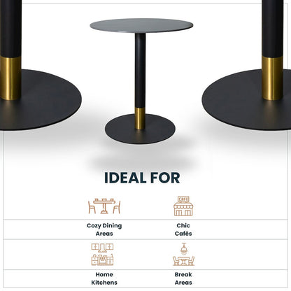 Modern Oyster Transparent Side Chair in Black Base set of 2
