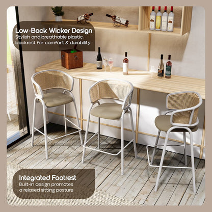 Ervilla Wicker Bar Stool Set of 2