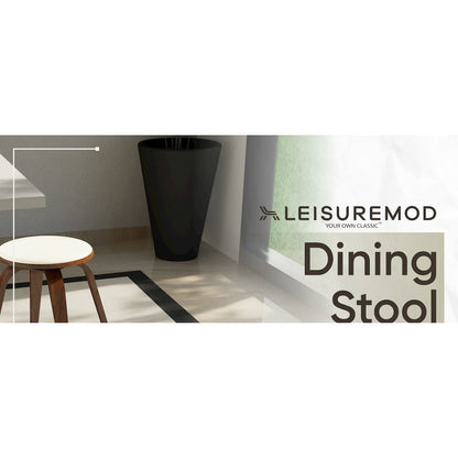 Modern Wooden Dining Stool