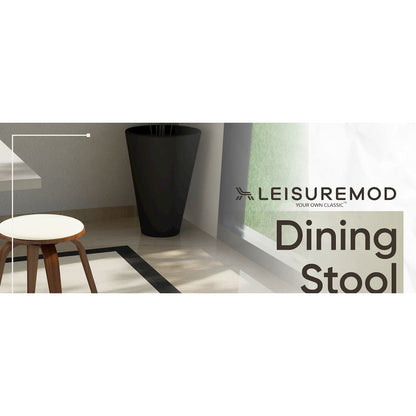 Modern Wooden Dining Stool