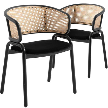 Ervilla Modern Dining Chair