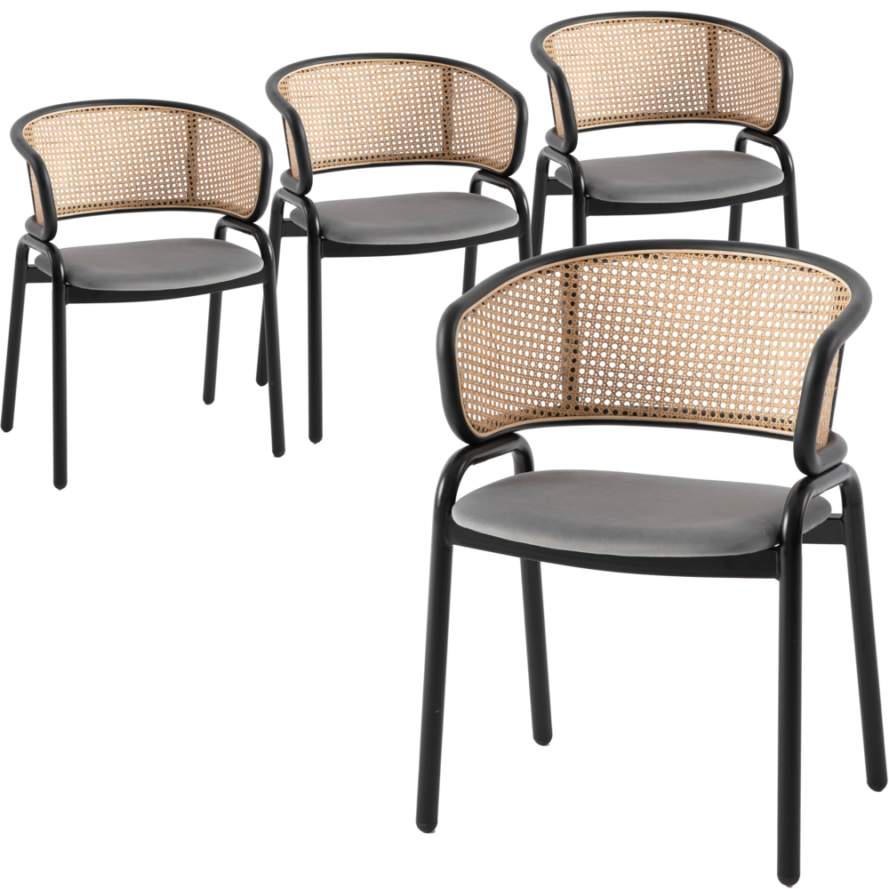 Ervilla Modern Dining Chair