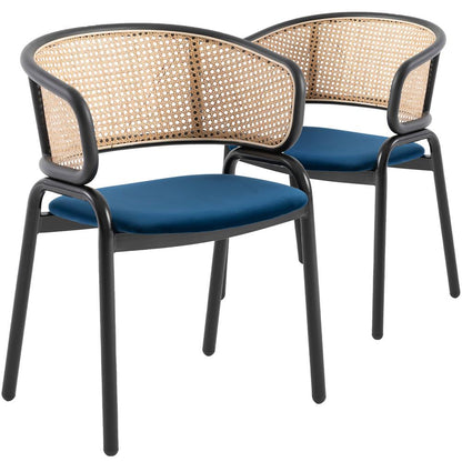 Ervilla Modern Dining Chair