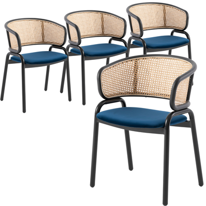 Ervilla Modern Dining Chair