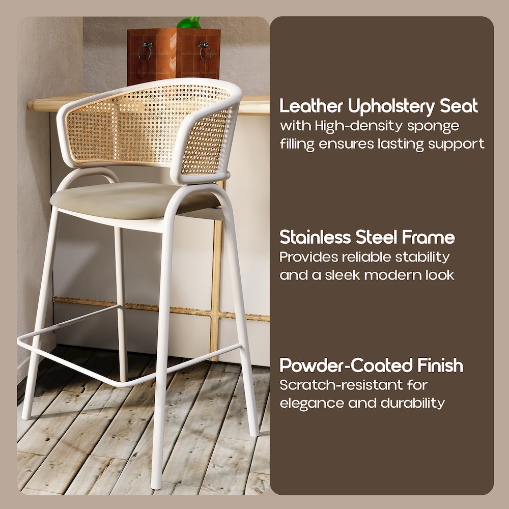 Ervilla Wicker Bar Stool Set of 2