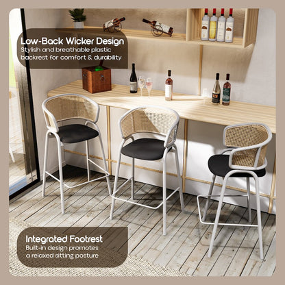 Ervilla Wicker Bar Stool Set of 2