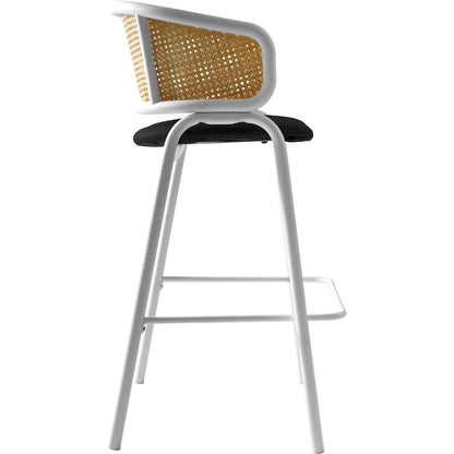 Ervilla Wicker Bar Stool Set of 2